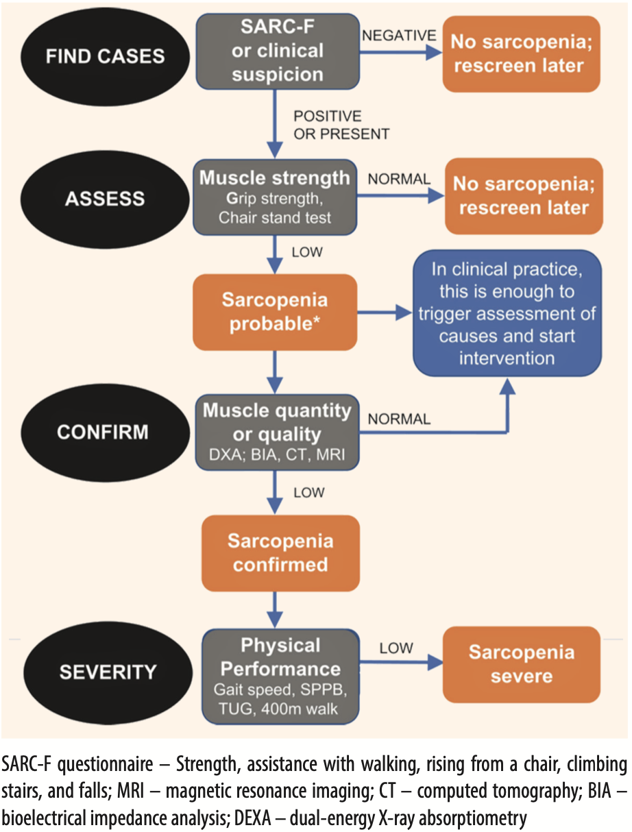 Figure 1. Algorithm for screening and diagnosing sarcopenia based on the recommendations of the European Working Group on Sarcopenia in Older People (EWGSOP2); Find-Assess-Confirm-Severity – FACS)