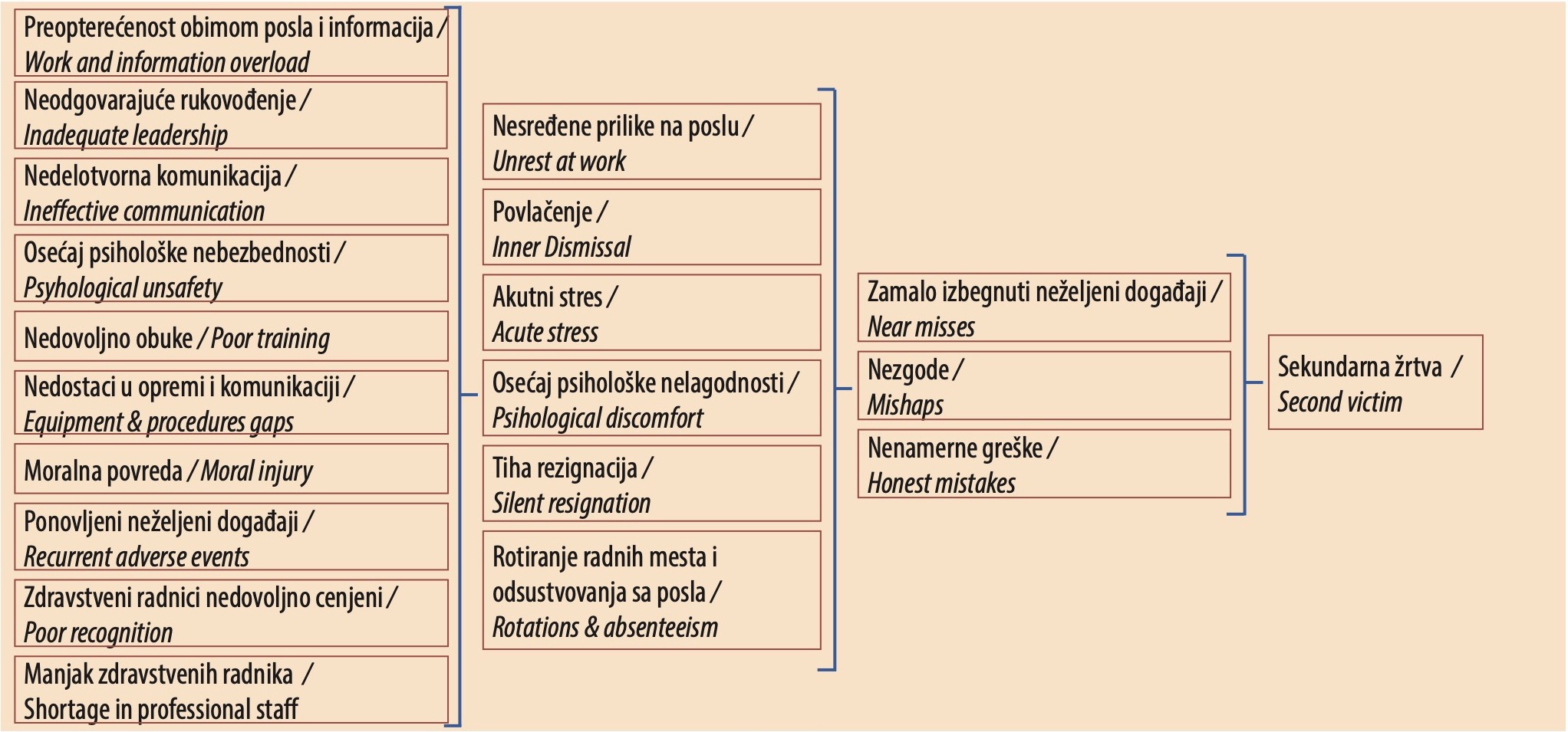 Figure 1. Factors triggering the second victim phenomenon