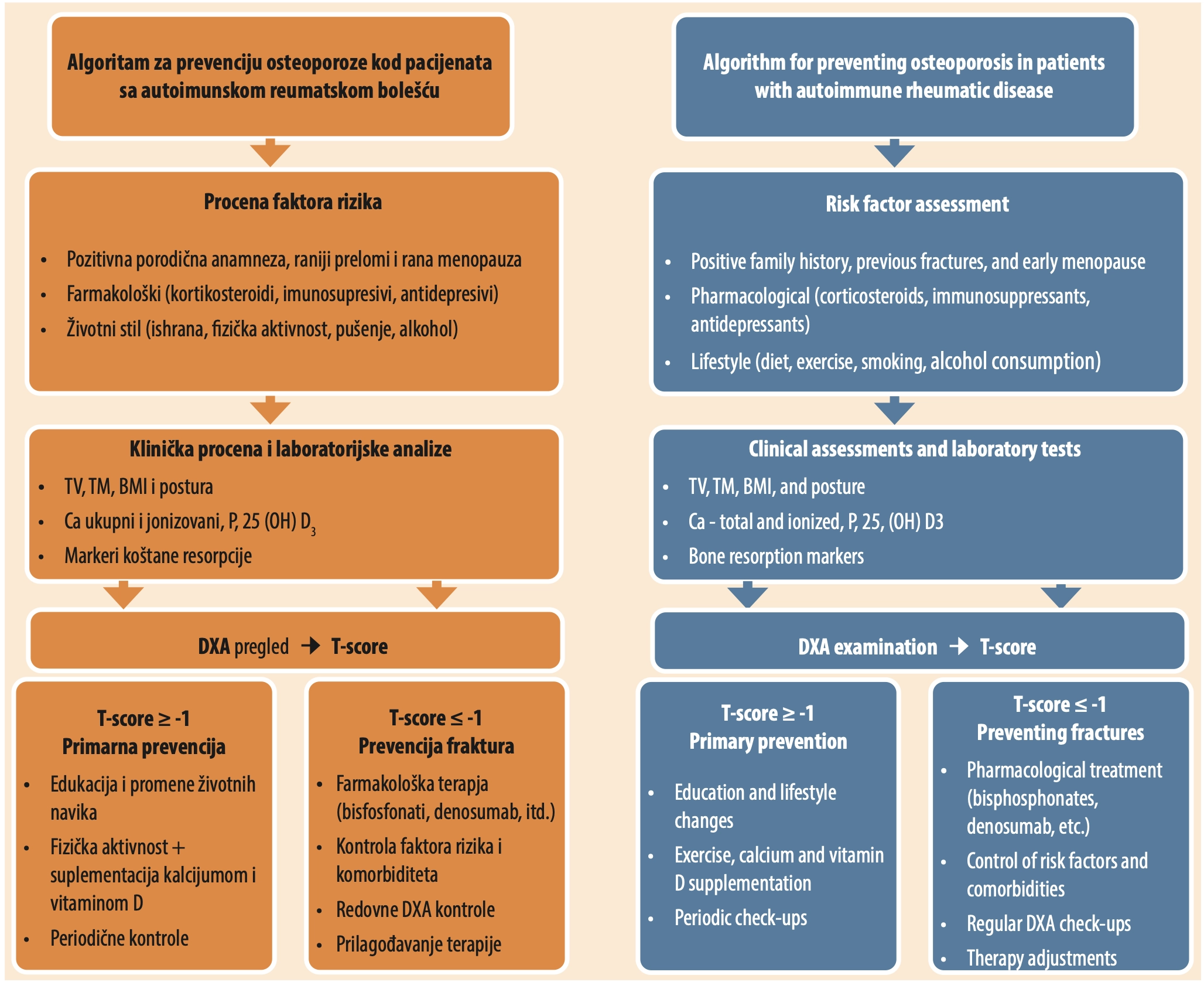 Figure 1. Algorithm for the management of patients at increased risk of developing osteoporosis [<a href=